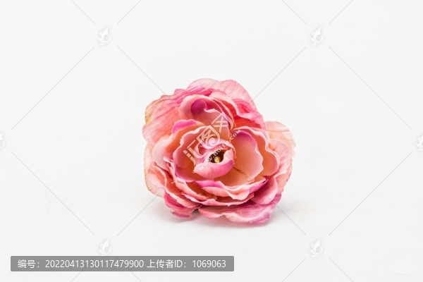 花朵干花