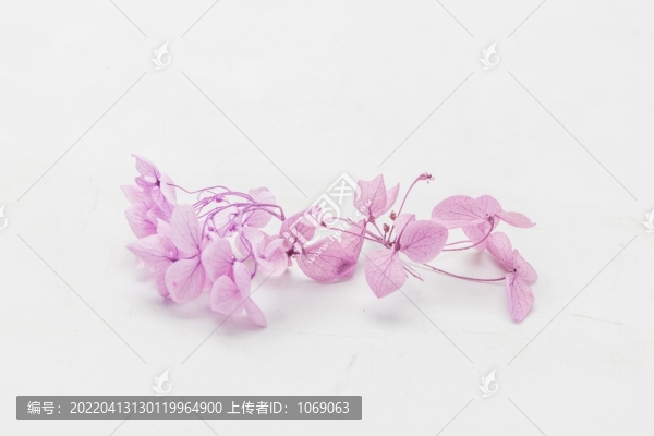 花朵干花