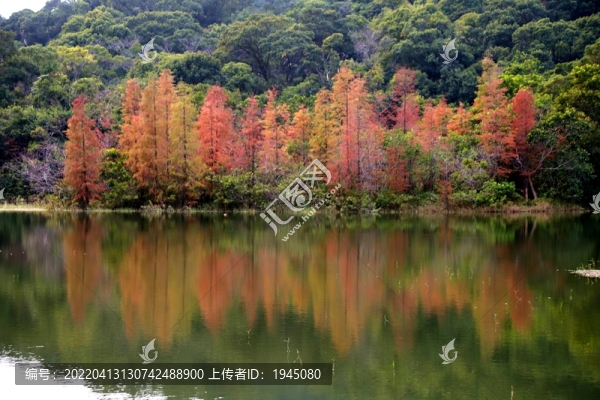 深圳恩上水庫秋景