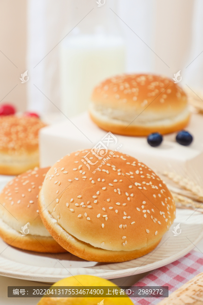 漢堡胚