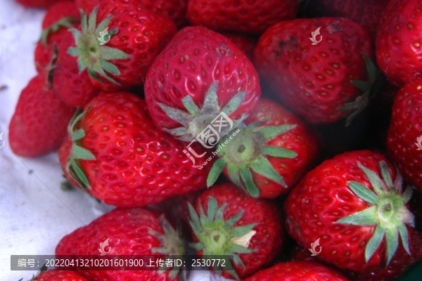 草莓