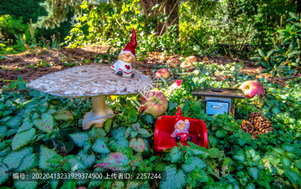 花叢與花園