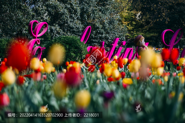 河南省洛陽(yáng)市郁金香牡丹公園