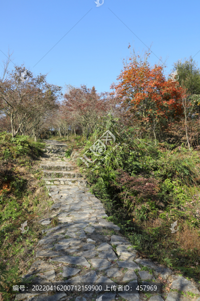 山路