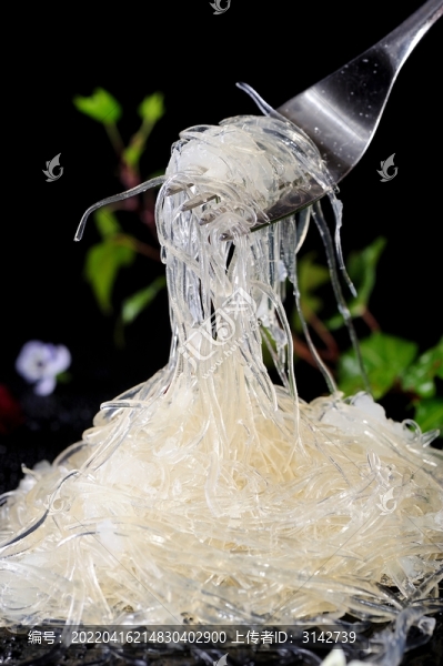 魚(yú)翅