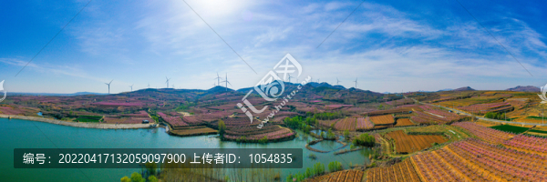 梯田果園