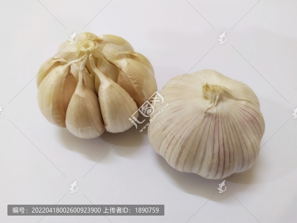 大蒜特寫