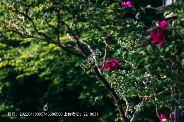 河南省隋唐洛陽(yáng)城國(guó)家遺址公園