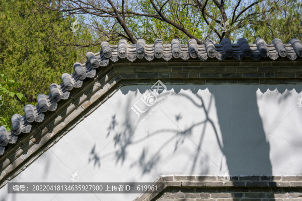白墻樹影
