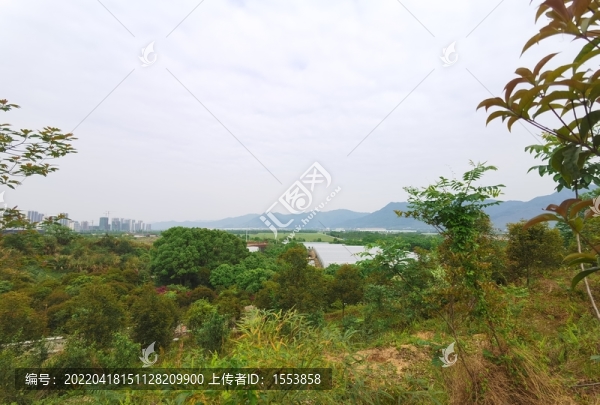 竹山