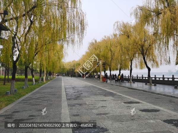 伊河大道