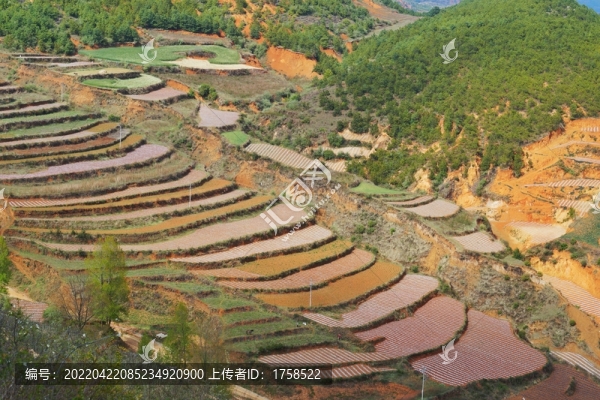 云南農(nóng)村