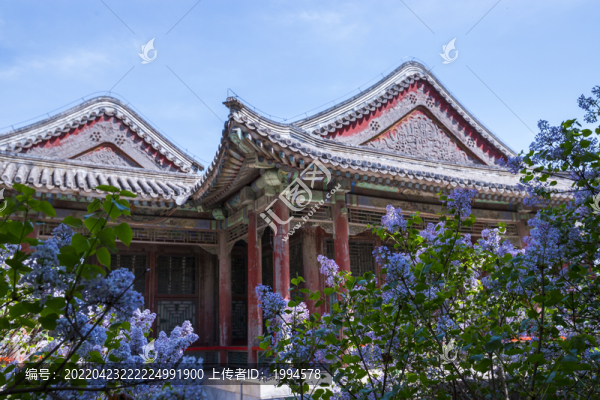 丁香