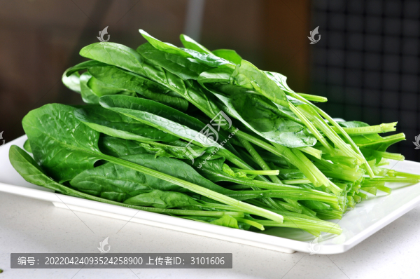 菠菜
