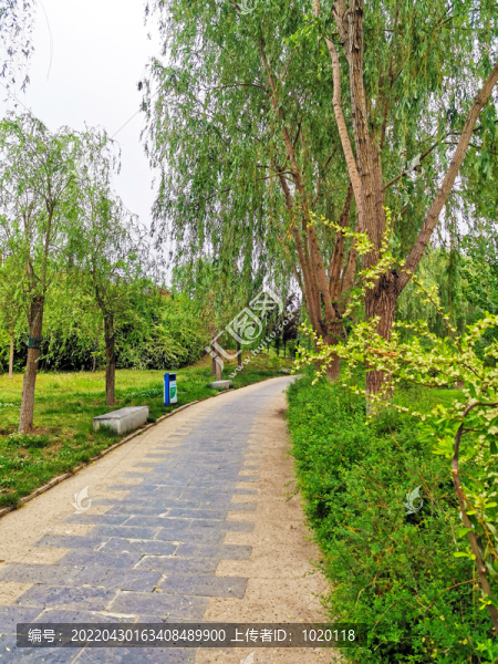 公園景觀小道
