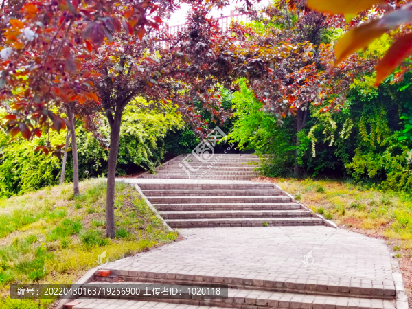 公園景觀小道