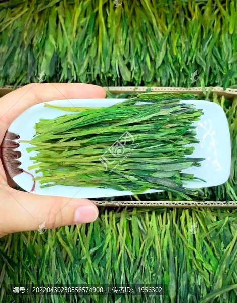 太平猴魁茶葉特寫
