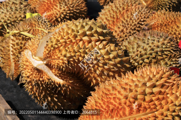 榴蓮