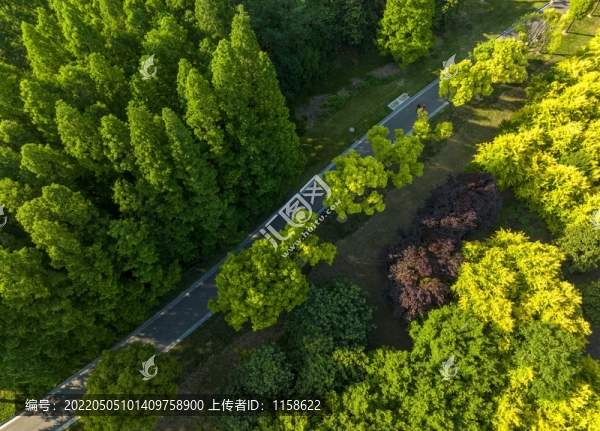 枝繁葉茂始立夏