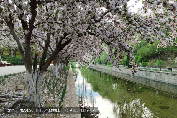 北京元大都城垣遺址公園