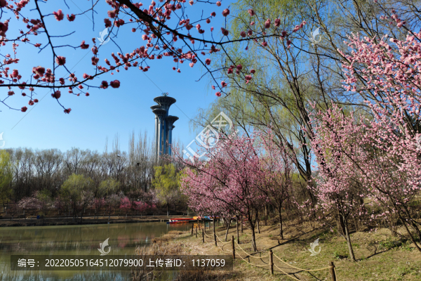 北京奧林匹克森林公園