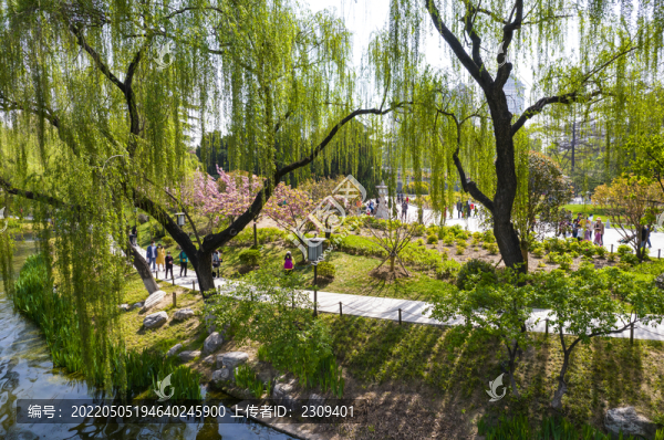 園林景觀