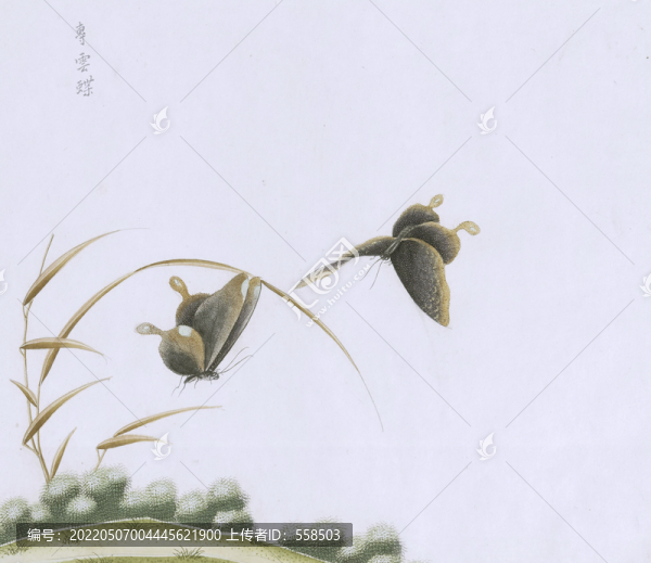 流云蝶蟲(chóng)草國(guó)畫(huà)小品