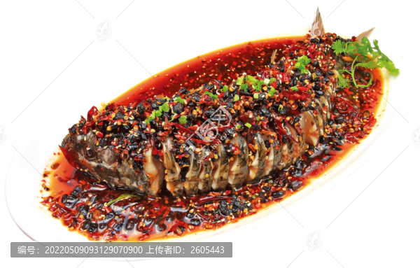 臭桂魚