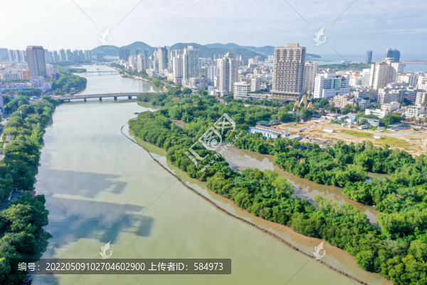 航拍海南三亞河畔紅樹林公園