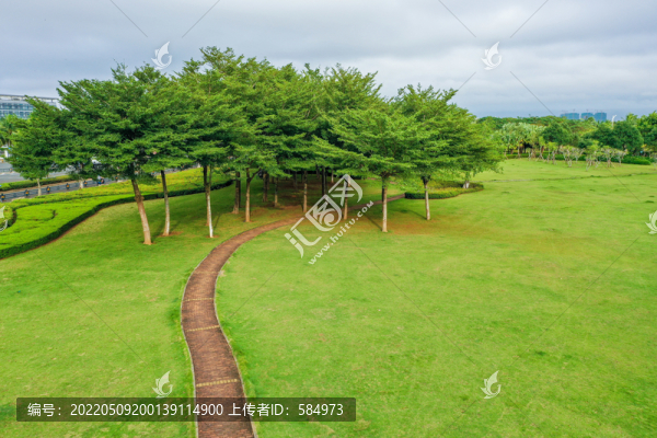 航拍海口濱江路海南廣場綠地