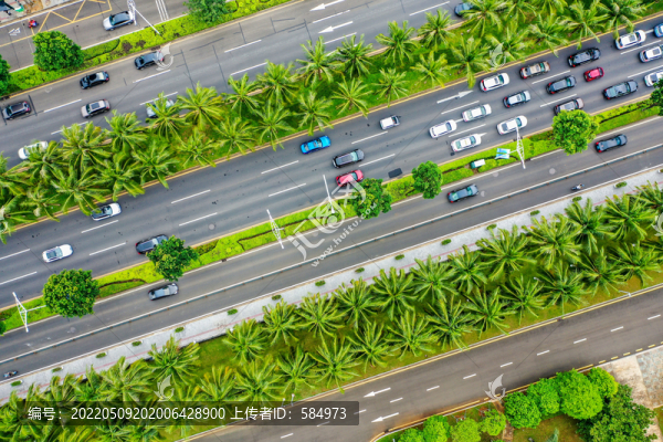 航拍海口國興大道道路及行道樹