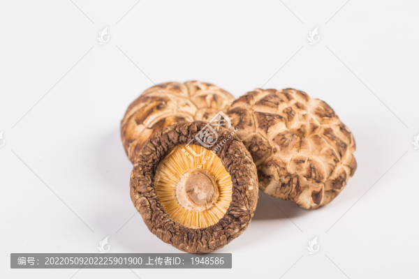 花菇