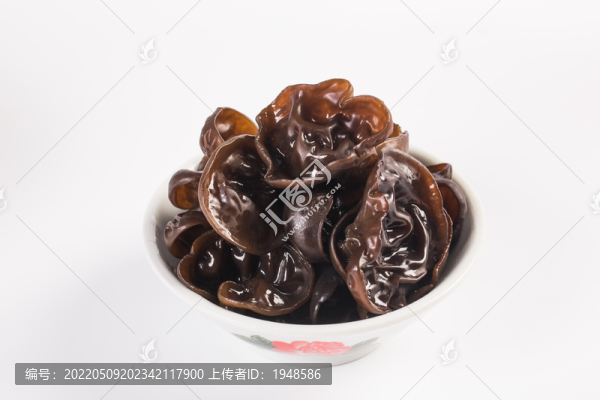 木耳