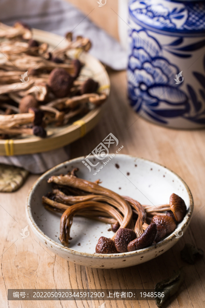 茶樹菇