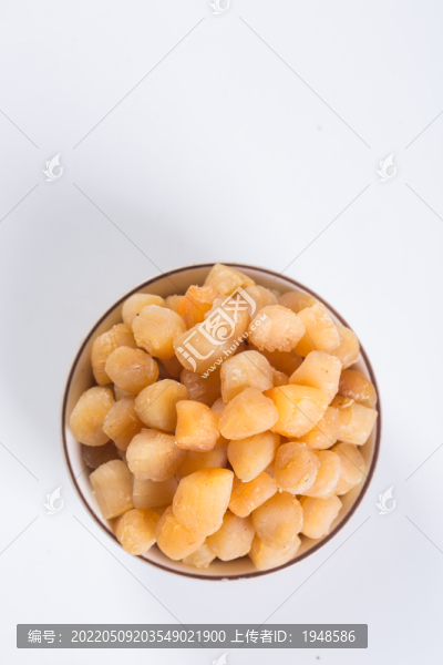 干貝