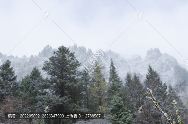 高原雪山