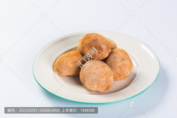 猴頭菇