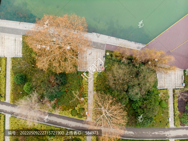 航拍霧靄中南京玄武湖公園