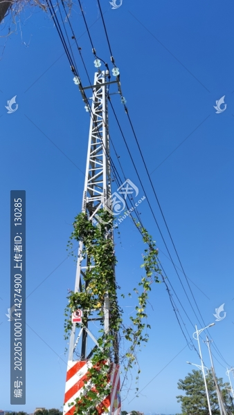 高壓電線桿