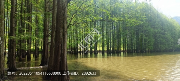 漢中南鄭龍池風(fēng)景區(qū)
