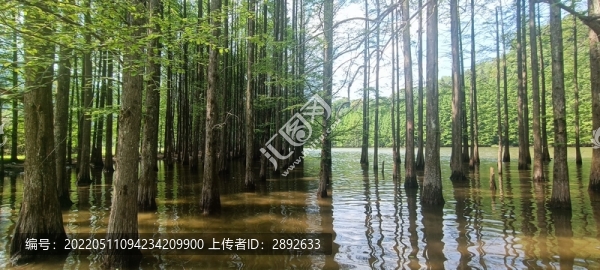 漢中南鄭龍池風(fēng)景區(qū)