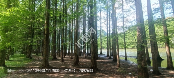 漢中南鄭龍池風(fēng)景區(qū)