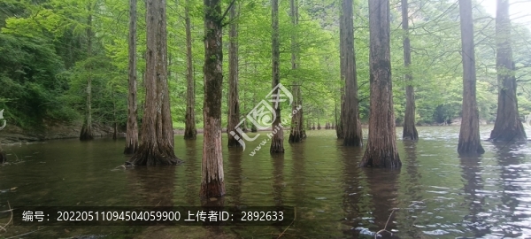 漢中南鄭龍池風景區(qū)