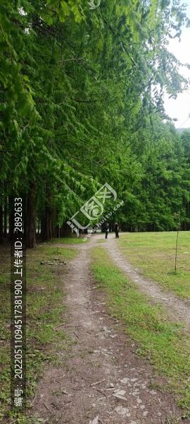 漢中南鄭龍池風景區(qū)