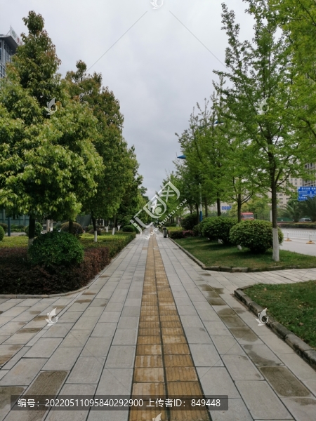 人行道景觀綠化