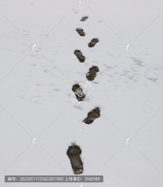 雪地腳印