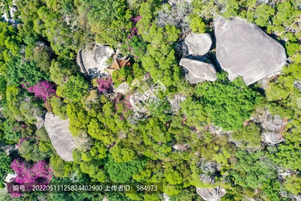 航拍廈門五老峰下的南普陀寺