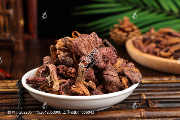 野生蘑菇