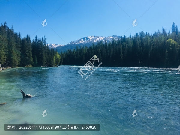 山川河流樹林風(fēng)景