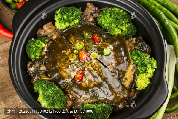 甲魚煲